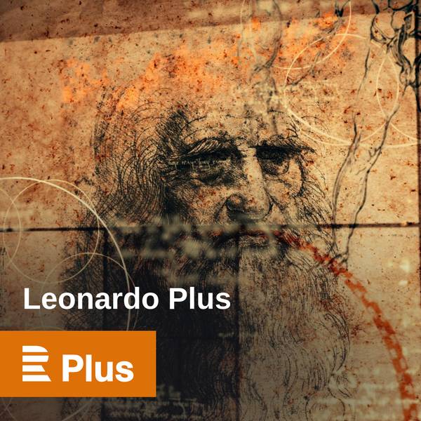 Leonardo Plus